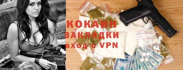 ПСИЛОЦИБИНОВЫЕ ГРИБЫ Лиски