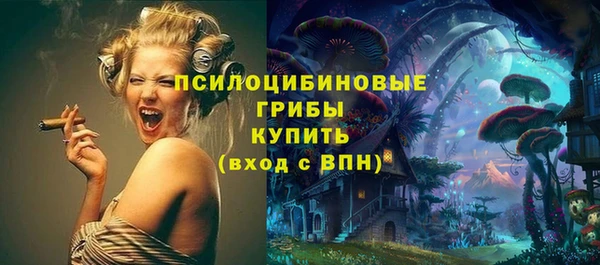 PSILOCYBIN Лихославль