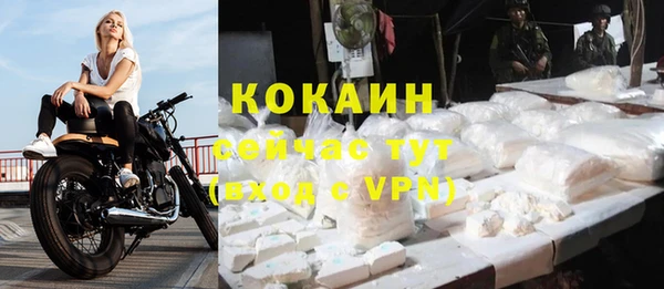 ПСИЛОЦИБИНОВЫЕ ГРИБЫ Лиски