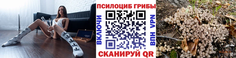 Купить закладки  Костерёво  Псилоцибиновые грибы мицелий 